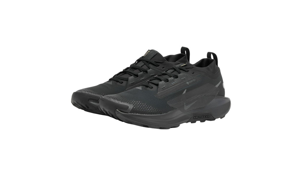 Nike Running Pegasus Trail 5 GORE-TEX