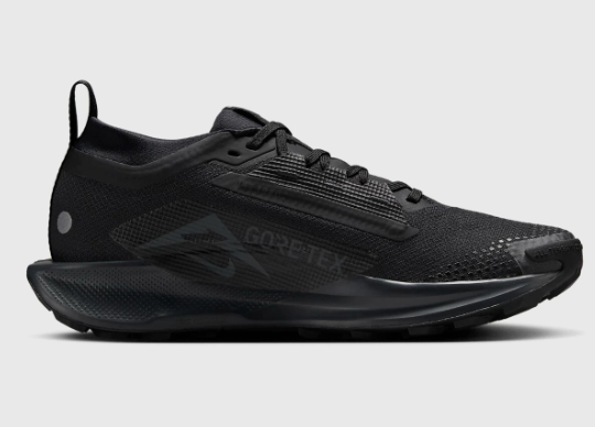 Trail 5 GORE-TEX FQ0912-002 Negro Antracita Negro